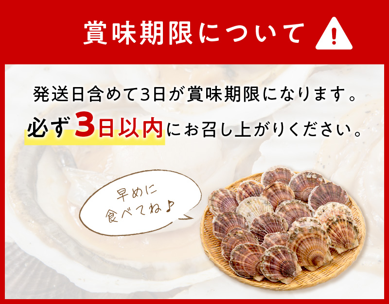 【予約：2026年3月下旬から順次発送】オホーツク貝付きほたて 5kg 30枚～50枚 ( 海鮮 魚介 魚介類 貝 貝類 ホタテ ほたて 帆立 殻付き 貝柱 贈答 ギフト 贈り物 お中元 お祝い BBQ バーベキュー )【031-0013-2026】