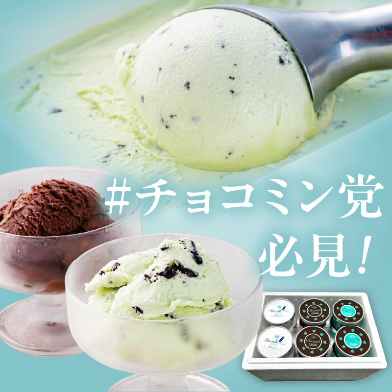 ミントジェラート カップ 3種×2個 ( ジェラート アイス アイスクリーム ハッカ チョコ ミント ミントアイス スイーツ チョコチップミント カカオ カップアイス ふるさと納税 )【007-0010】