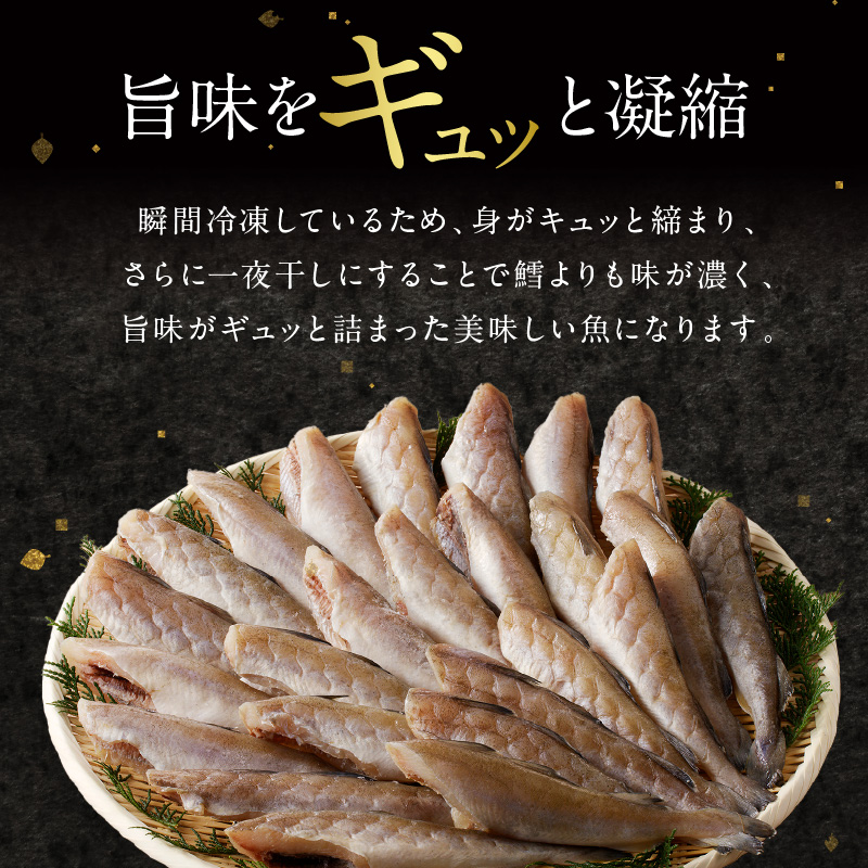《14営業日以内に発送》北海道産 生干しこまい 1kg×2箱 ( 干物 おつまみ コマイ 2キロ 2箱 海鮮 魚介 加工品 加工食品 干しこまい 魚 生干し 北海道 こまい )【035-0022】