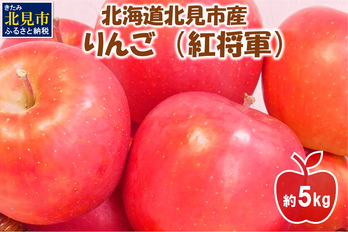 【予約：2026年10月下旬から順次発送】北海道北見市産 りんご 紅将軍 約5kg ( 果物 果実 蜜 旬 季節限定 数量限定 果肉 )【044-0007-2026】