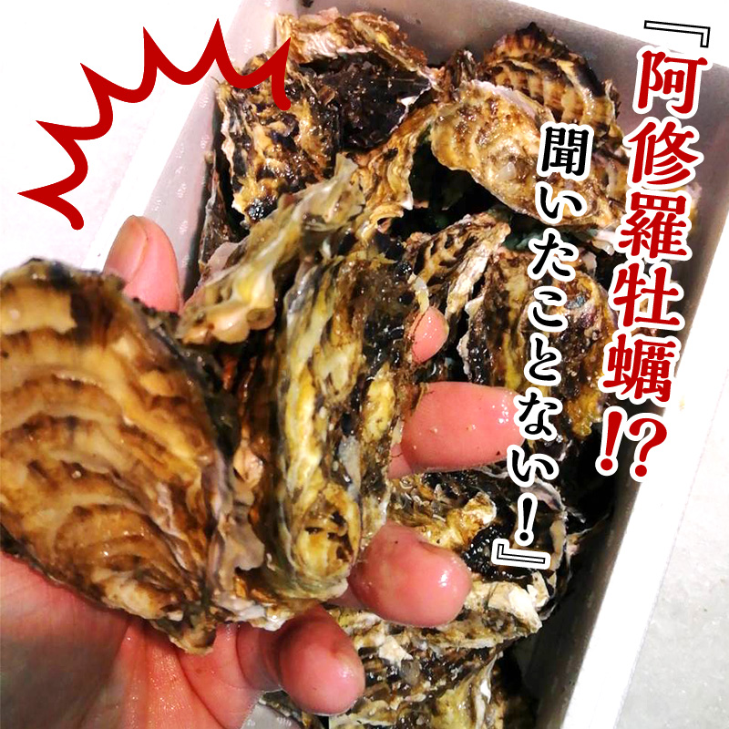 【予約：2026年10月中旬から順次発送】サロマ湖産 海のミルク 阿修羅牡蠣 5kg ( 魚介類 海鮮 魚介 牡蠣 かき カキ 海のミルク サロマ湖 5キロ 期間限定 国産 1年カキ )【031-0015-2026】