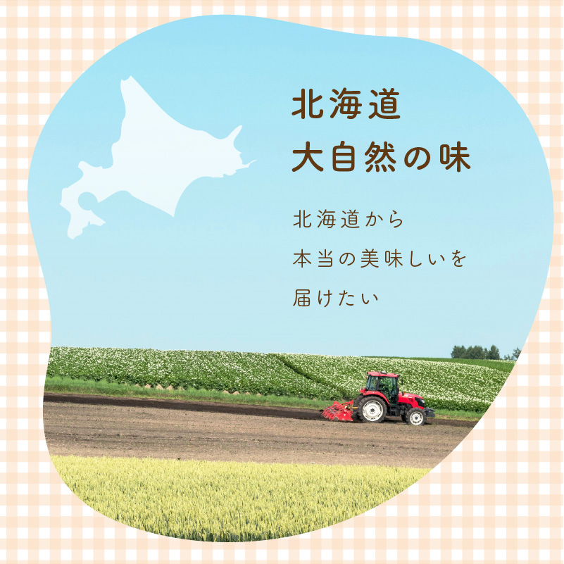 《7営業日以内に発送》大地の恵み北海道やさしいたまねぎスープ 8袋×1箱 ( 玉ねぎ 簡単 粉末 スープ )【125-0046】