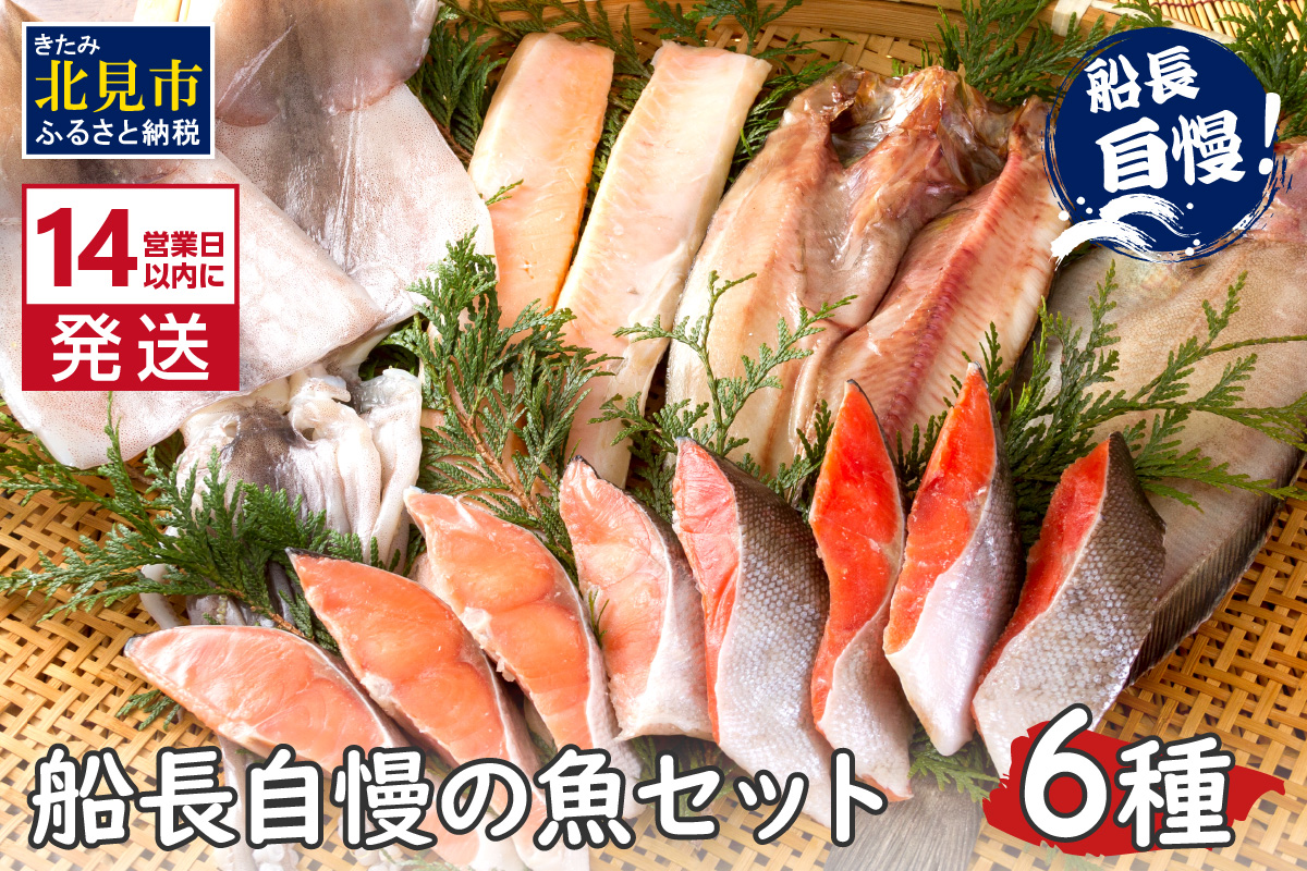 《14営業日以内に発送》船長自慢の海鮮セット ( 海鮮セット 海鮮 魚介類 ホッケ ナメタガレイ いか サーモン 鮭 時鮭 紅鮭 )【114-0065】