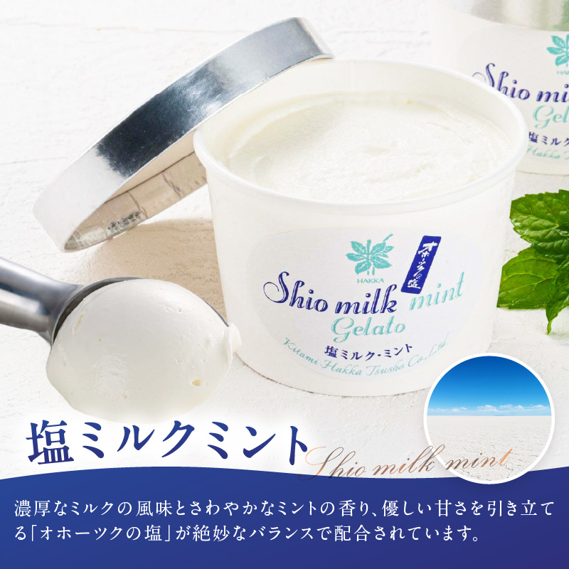 ミントジェラート カップ 3種×2個 ( ジェラート アイス アイスクリーム ハッカ チョコ ミント ミントアイス スイーツ チョコチップミント カカオ カップアイス ふるさと納税 )【007-0010】