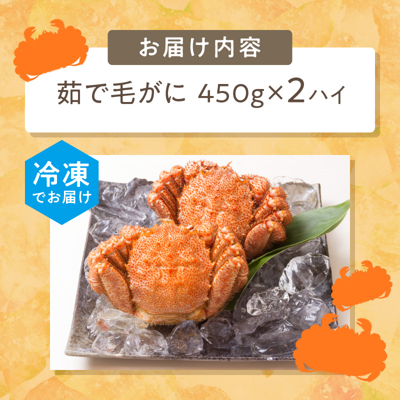 《14営業日以内に発送》オホーツク海産 浜茹で毛がに 450g×2ハイ 冷凍 ( かに カニ 毛ガニ 魚介類 蟹 )【114-0031-2025】