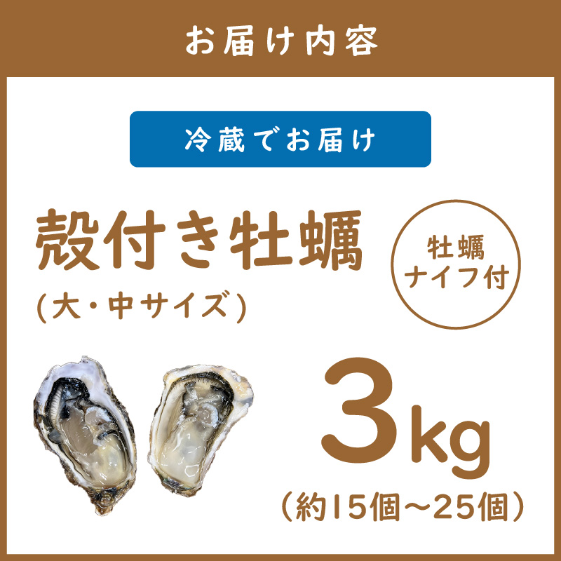 【予約：2026年10月下旬から順次発送】サロマ湖産 殻付き2年牡蠣 3kg サイズ不揃い ※牡蠣ナイフ付 ( カキ かき 3キロ 魚介 海鮮 貝 ふるさと納税 BBQ バーベキュー )【113-0015-2026】