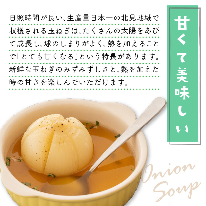 ☆L玉隔月定期便(1月・3月)☆JAきたみらいから直送する新鮮玉ねぎ 10kg(L)×2回 ( 野菜 定期便 玉葱 たまねぎ 期間限定 )【999-0007-2025】