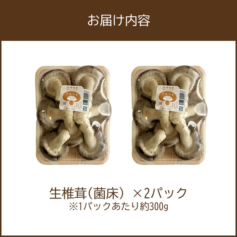 蛹玲オキ驕鍋肇 逕溘@縺縺溘¢(闖悟コ) 2繝代ャ繧ッ ( 縺阪ョ縺 繧ュ繝弱さ 讀手減 繧キ繧、繧ソ繧ア )縲038-0006縲