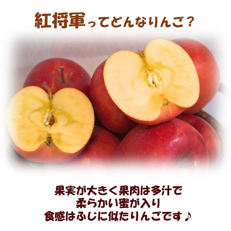 【予約：2026年10月下旬から順次発送】北海道北見市産 りんご 紅将軍 約5kg ( 果物 果実 蜜 旬 季節限定 数量限定 果肉 )【044-0007-2026】