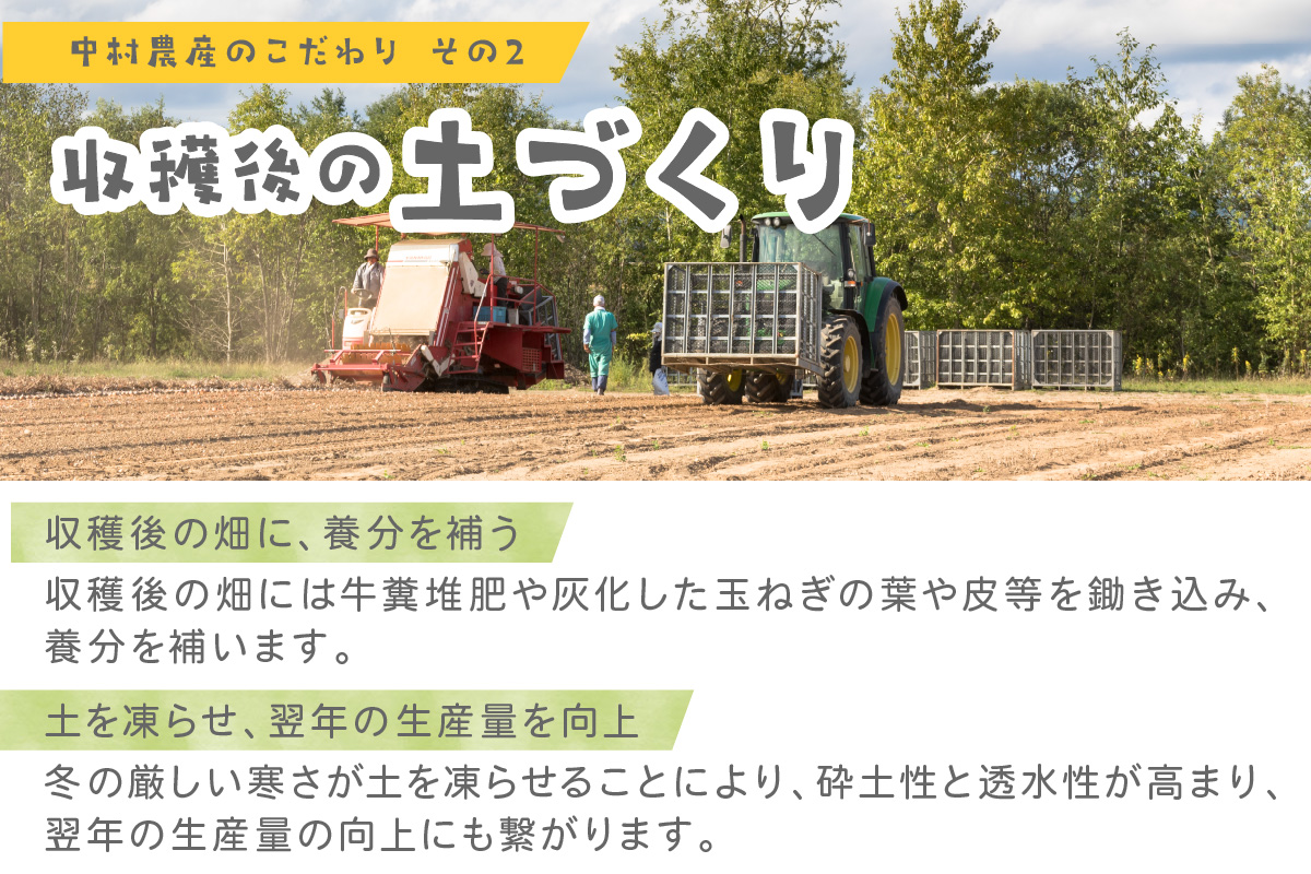 【予約：2026年10月から順次発送】北海道北見産 玉ねぎ 20kg ( 玉ねぎ 野菜 たまねぎ タマネギ 玉葱 甘い 20キロ ハンバーグ 肉じゃが ふるさと納税 玉ねぎ )【002-0005-2026】