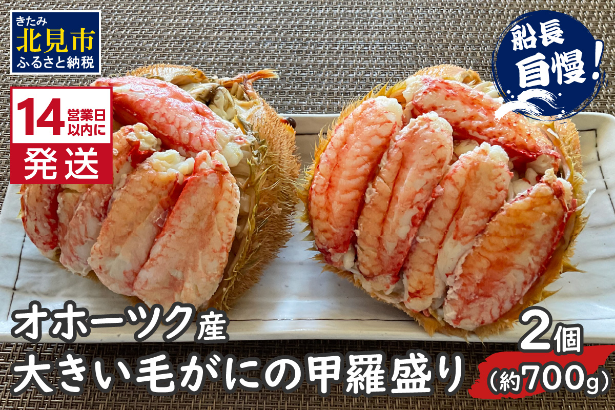 《14営業日以内に発送》オホーツク産 大きい毛がにの甲羅盛り 2個入り 冷凍 ( 毛がに かに カニ 蟹 甲羅盛 魚介類 北海道 )【114-0042】