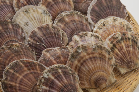 ãäºçŽïŒ2026幎3æäžæ¬ããé æ¬¡çºéããªããŒãã¯è²ä»ãã»ã㊠3kg 15æïœ25æ ( æµ·é®® éä» éä»é¡ è² è²é¡ ãã¿ã ã»ã㊠åžç« æ®»ä»ã è²æ± èŽç ã®ãã èŽãç© ãäžå
ãç¥ã BBQ ããŒããã¥ãŒ )ã031-0012-2026ã