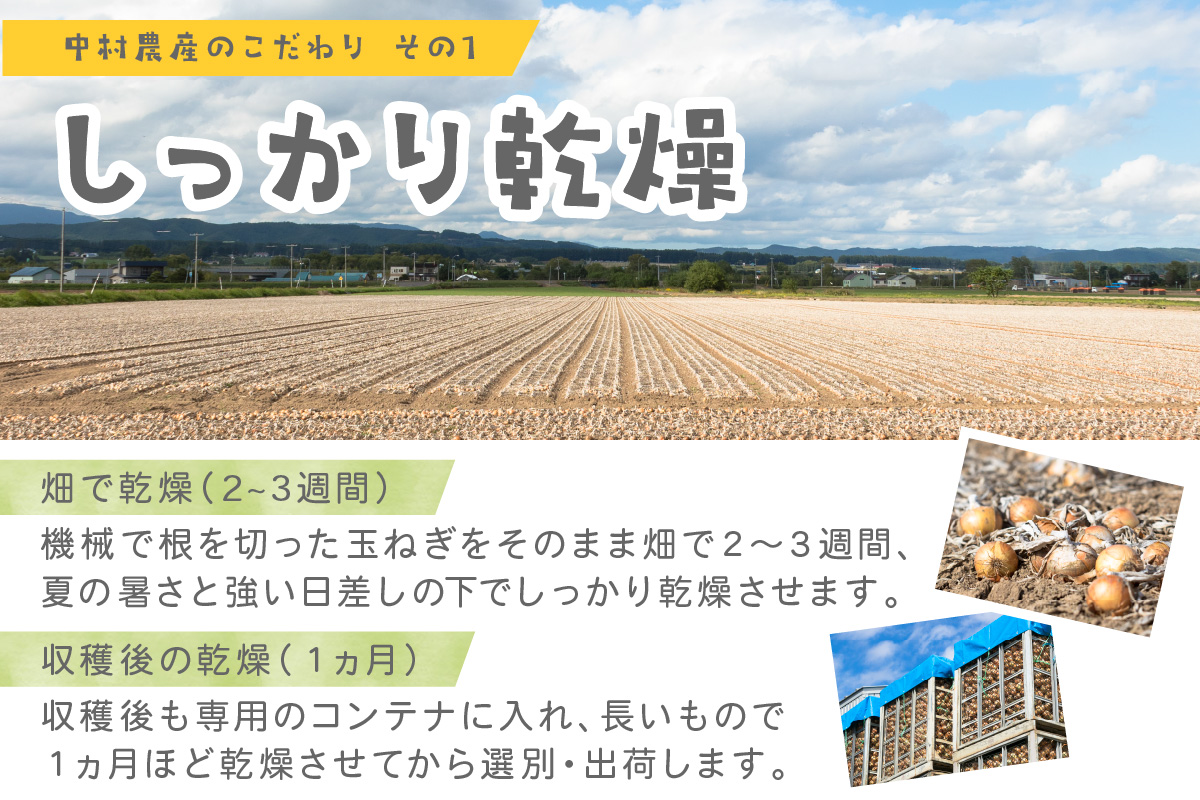 【予約：2026年10月から順次発送】北海道北見産 玉ねぎ 20kg ( 玉ねぎ 野菜 たまねぎ タマネギ 玉葱 甘い 20キロ ハンバーグ 肉じゃが ふるさと納税 玉ねぎ )【002-0005-2026】