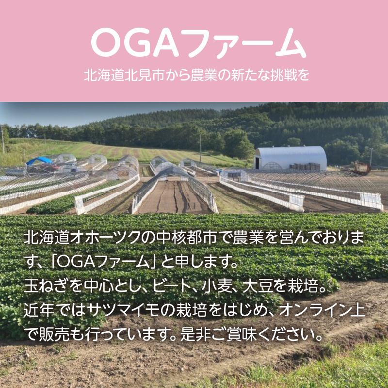 【予約：2026年10月下旬から順次発送】北見産玉ねぎ 20kg ( 機能性玉葱 サイズバラ 玉ねぎ たまねぎ タマネギ 玉葱 オニオン 野菜 北海道 長期貯蔵 )【133-0002-2026】