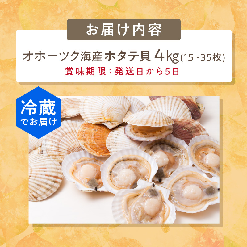 【予約：2026年4月から順次発送】とれたて新鮮！オホーツク海産 活ホタテ貝 4kg 15～35枚 ( 魚介 海鮮 貝 帆立 ほたて ホタテ 4キロ カレー シチュー 肉厚 )【114-0048-2026】