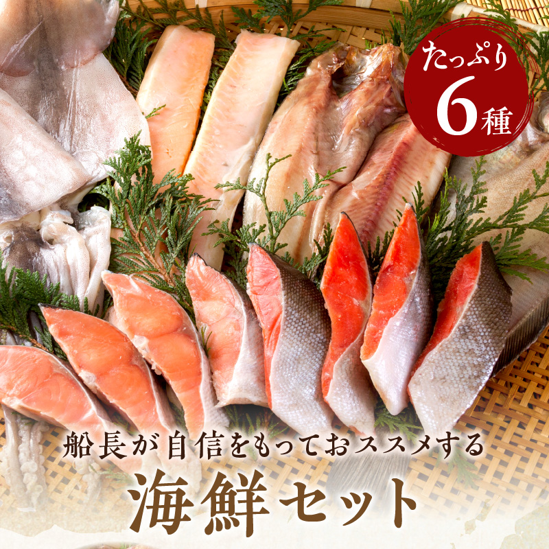 縲14蝟カ讌ュ譌・莉・蜀縺ォ逋コ騾√玖飴髟キ閾ェ諷「縺ョ豬キ魄ョ繧サ繝繝 ( 豬キ魄ョ繧サ繝繝 豬キ魄ョ 鬲壻サ矩。 繝帙ャ繧ア 繝翫Γ繧ソ繧ャ繝ャ繧、 縺縺 繧オ繝シ繝「繝ウ 魄ュ 譎るョュ 邏魄ュ )縲114-0065縲