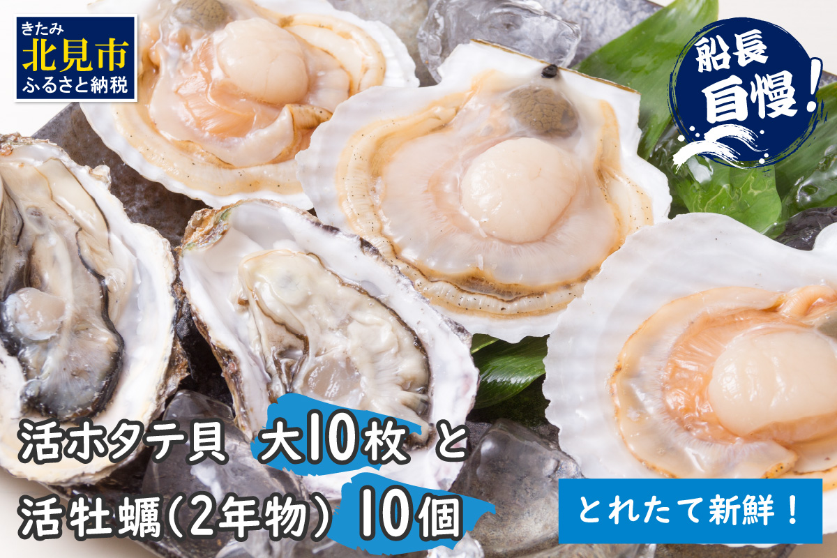 【予約：2026年11月中旬から順次発送】活ホタテ貝 大 10枚・活牡蠣 2年物 10個 ( 海鮮 魚介 貝 帆立 ほたて ホタテ カキ かき 牡蠣 セット BBQ )【114-0046-2026】