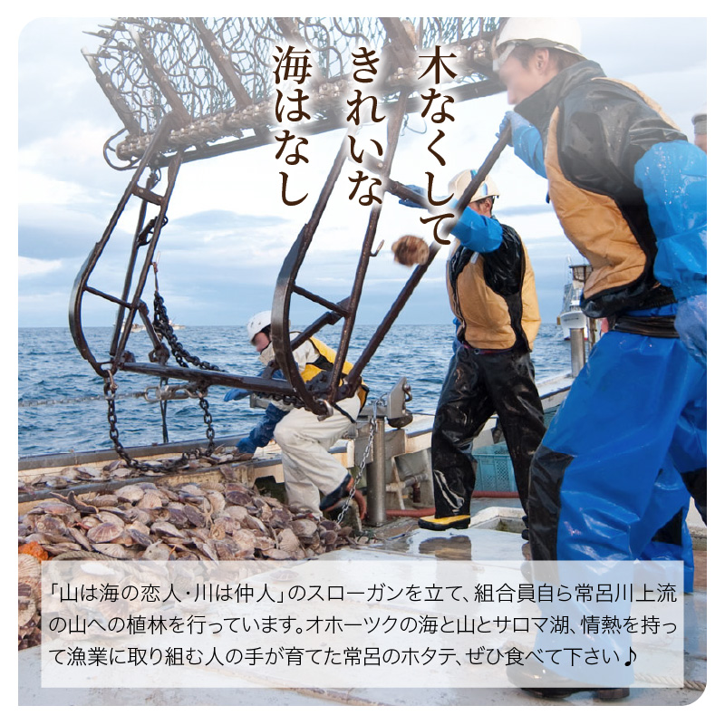 北海道産 乾貝柱 300g ( 海鮮 魚介 魚介類 貝 ホタテ ほたて 帆立 乾ほたて 貝柱 贈答 ギフト プレゼント 贈り物 箱入り 化粧箱 小分け おつまみ おやつ ふるさと納税 ホタテ貝柱 )【037-0018】