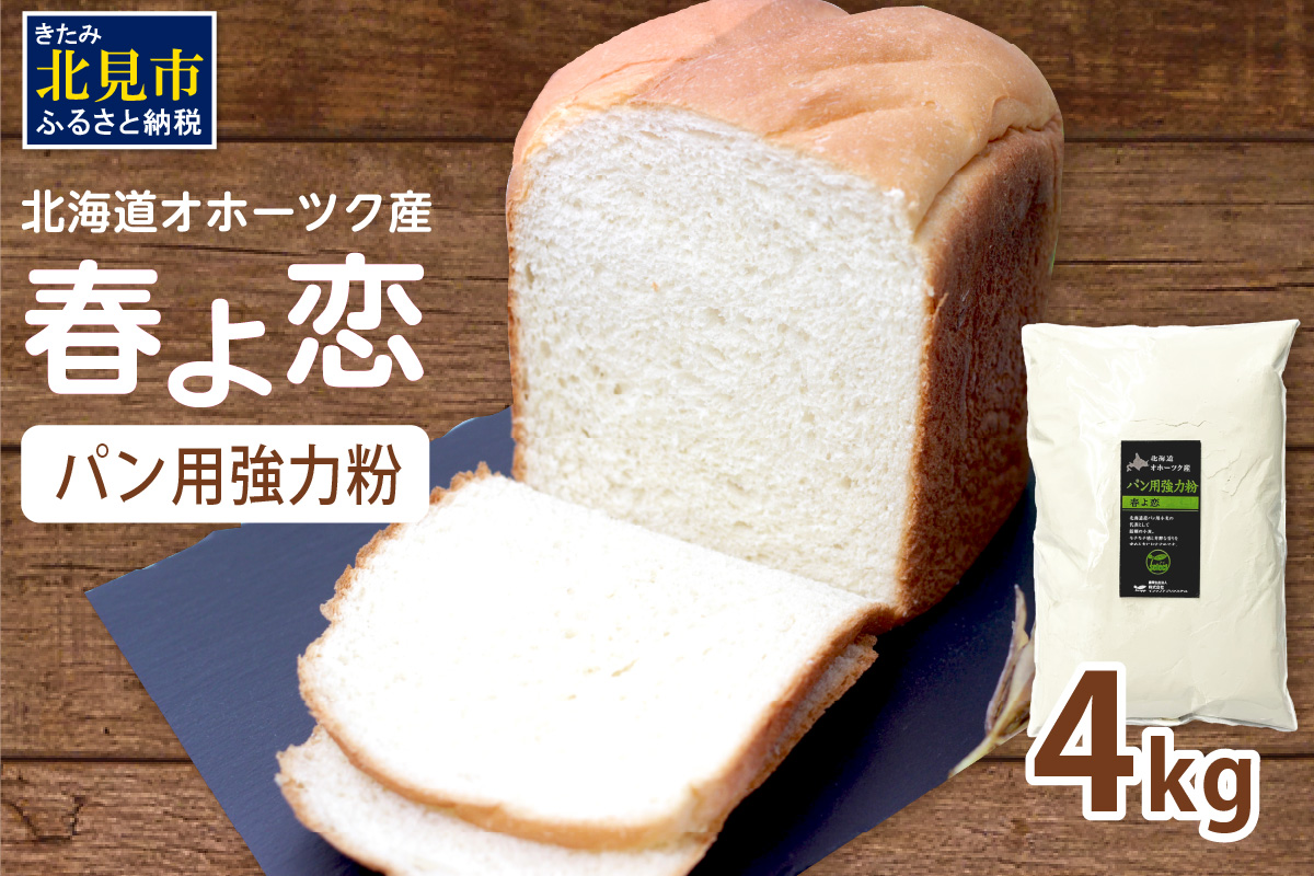 【北海道オホーツク産】パン用強力粉 春よ恋 4kg　※賞味期限30日保証 ( パン用強力粉 北海道産 小麦粉 パン 製パン )【056-0001】