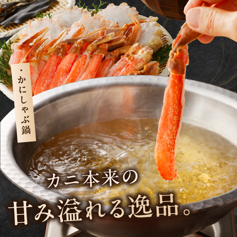 北見市加工 生冷本ズワイガニセット 1kg 昆布入り ( 蟹 かに 魚介類 カニ鍋 ズワイガニ ふるさと納税 贈答 熨斗 )【094-0079】