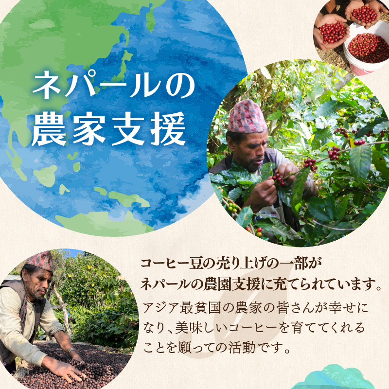 ãé£²ã¿æ¯ã¹ãèªå®¶çç
ãããŒã«ç£ã¹ãã·ã£ã«ãã£ã³ãŒããŒè±2çš®(å100g) ( çç² èªå®¶è£œ çç
è± )ã166-0007ã