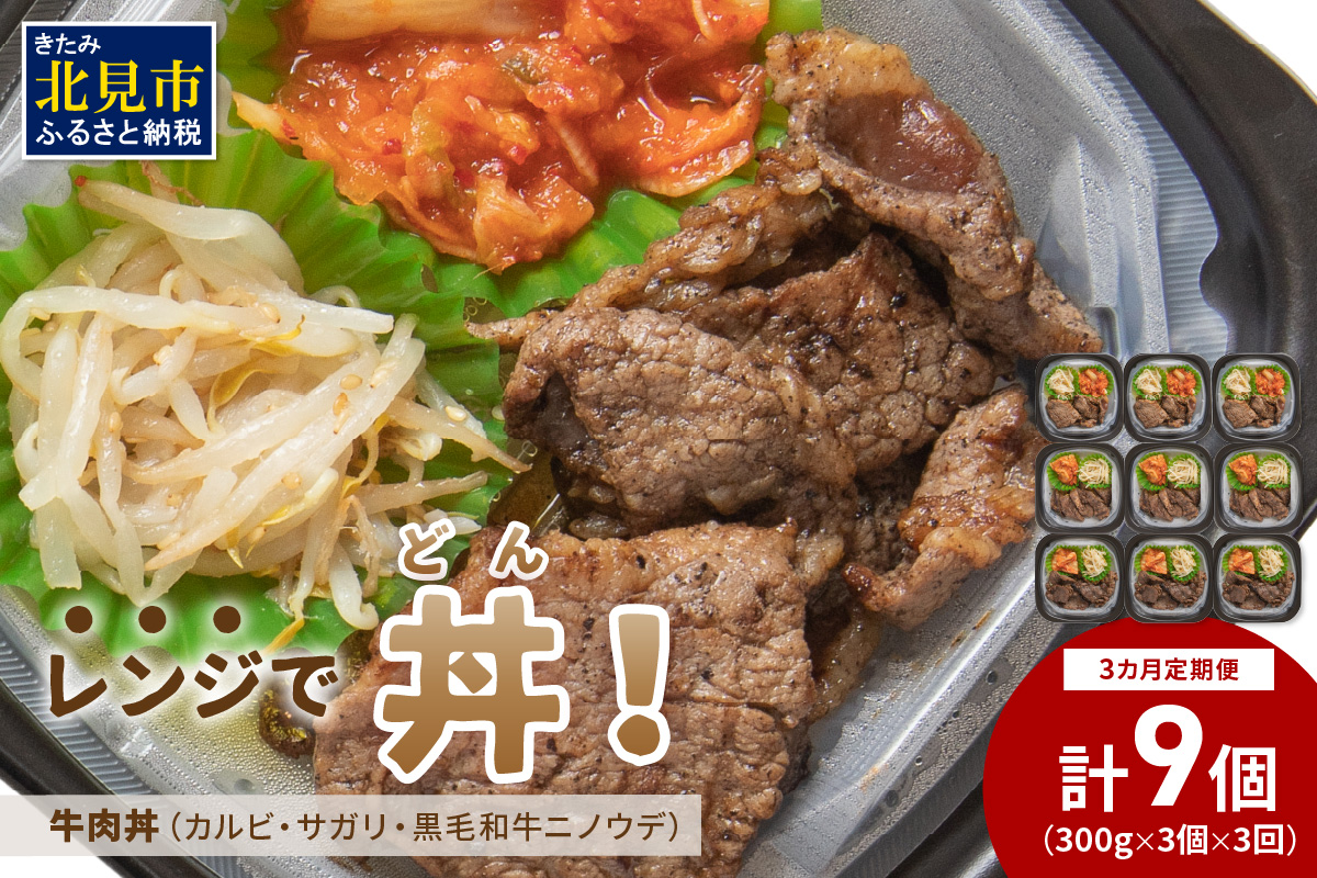 【3ヶ月定期便】レンジで丼！牛肉丼定期便 ( 牛肉 弁当 総菜 冷凍 簡単調理 サガリ カルビ ニノウデ )【999-0252】