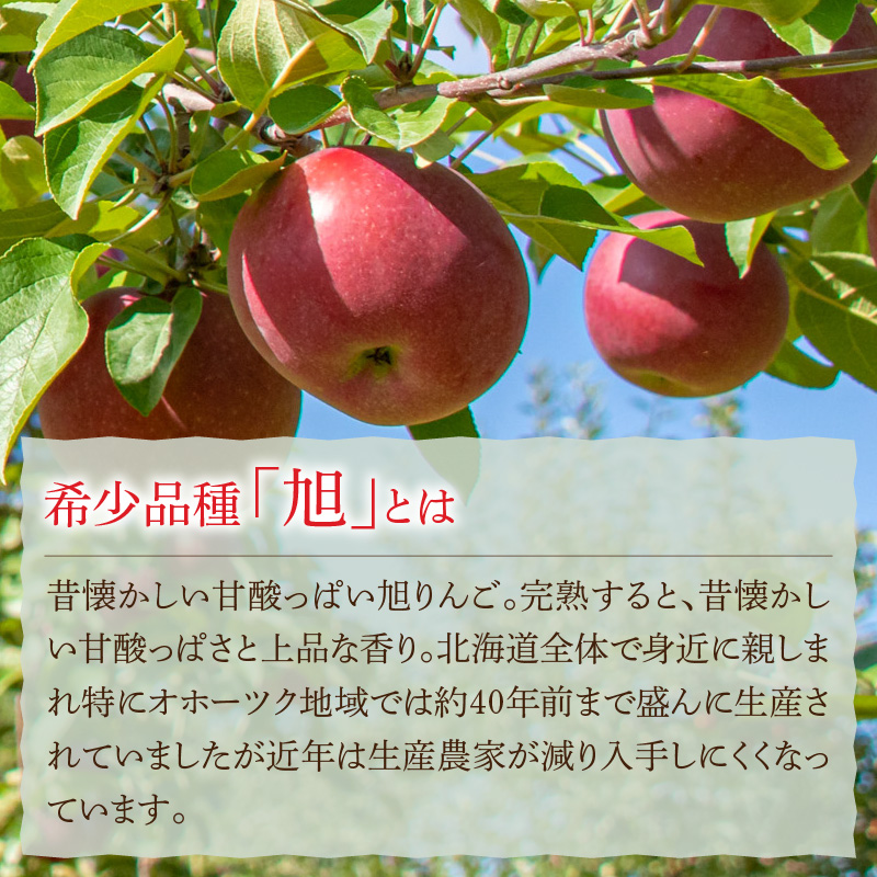 æãããã®ã·ãŒãã« ã³ã³ãã£ãã¥ãŒã« ãããé
¢ å1æ¬ã»ãã ( ããã ãªã³ãŽ ææª ãããé
¢ ã»ãã æããã ãµãããšçŽçš )ã044-0011ã