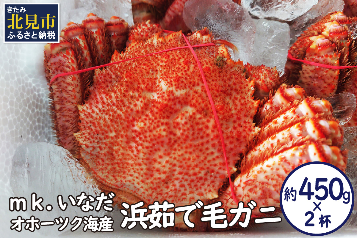 オホーツク海産 浜茹で毛ガニ 約450g×2杯 ( 海鮮 かに カニ 蟹 毛ガニ ボイル 贈答 ギフト )【113-0021】