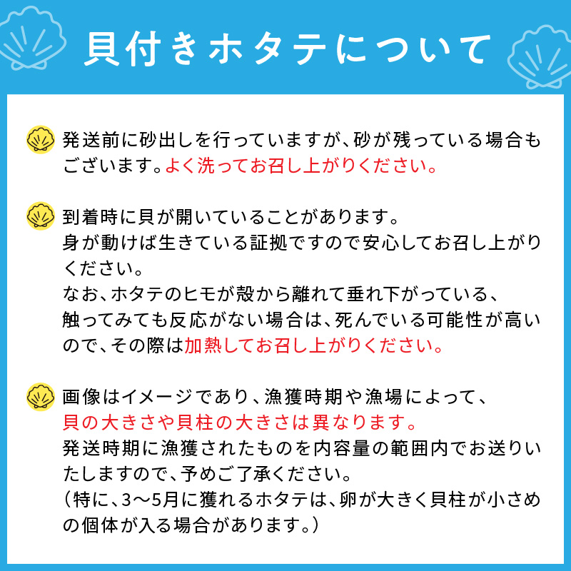 【予約：2026年3月下旬から順次発送】オホーツク貝付きほたて 5kg 30枚～50枚 ( 海鮮 魚介 魚介類 貝 貝類 ホタテ ほたて 帆立 殻付き 貝柱 贈答 ギフト 贈り物 お中元 お祝い BBQ バーベキュー )【031-0013-2026】