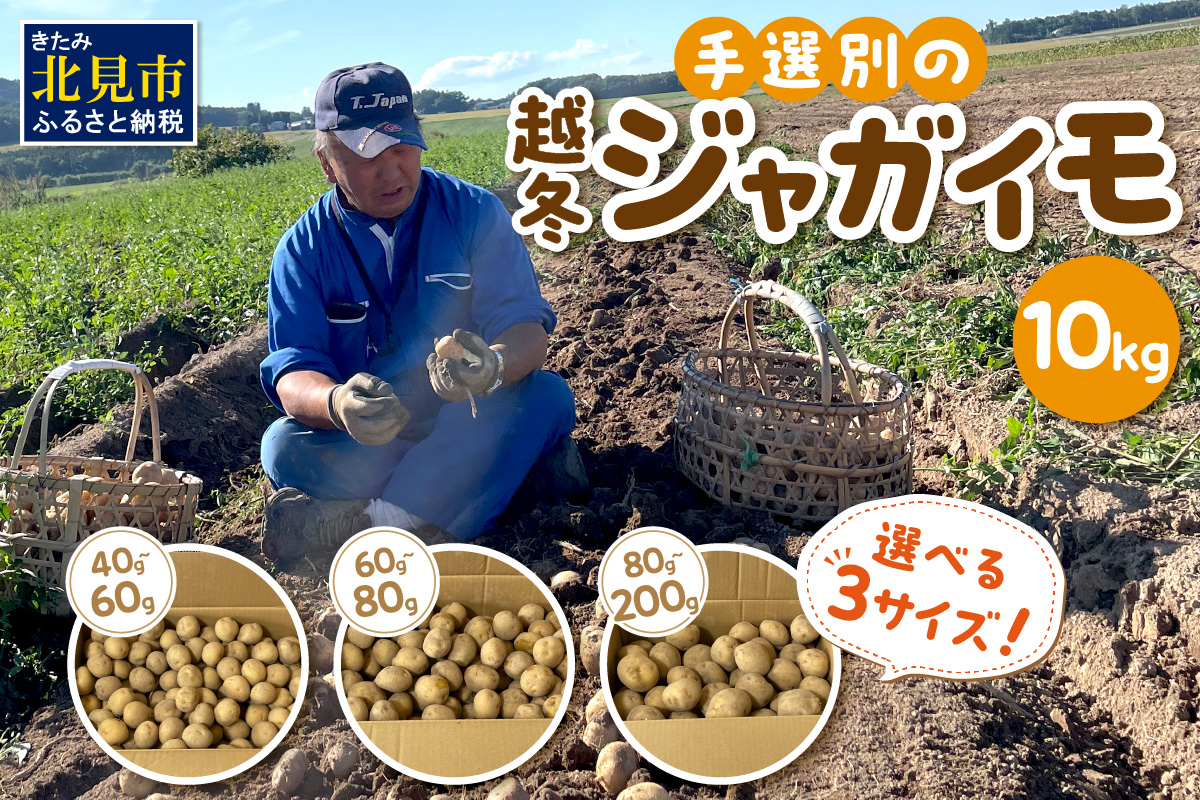 【予約：2026年2月上旬から順次発送】【選べる3サイズ】宇野さんの手拾い、手選別の越冬ジャガイモ 10kg ( 芋 野菜 選べる )【167-0004-2026】