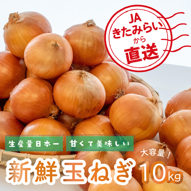 ☆L玉隔月定期便(11月・1月・3月)☆JAきたみらいから直送する新鮮玉ねぎ 10kg(L)×3回 ( 野菜 定期便 玉葱 たまねぎ )【999-0014-2025】