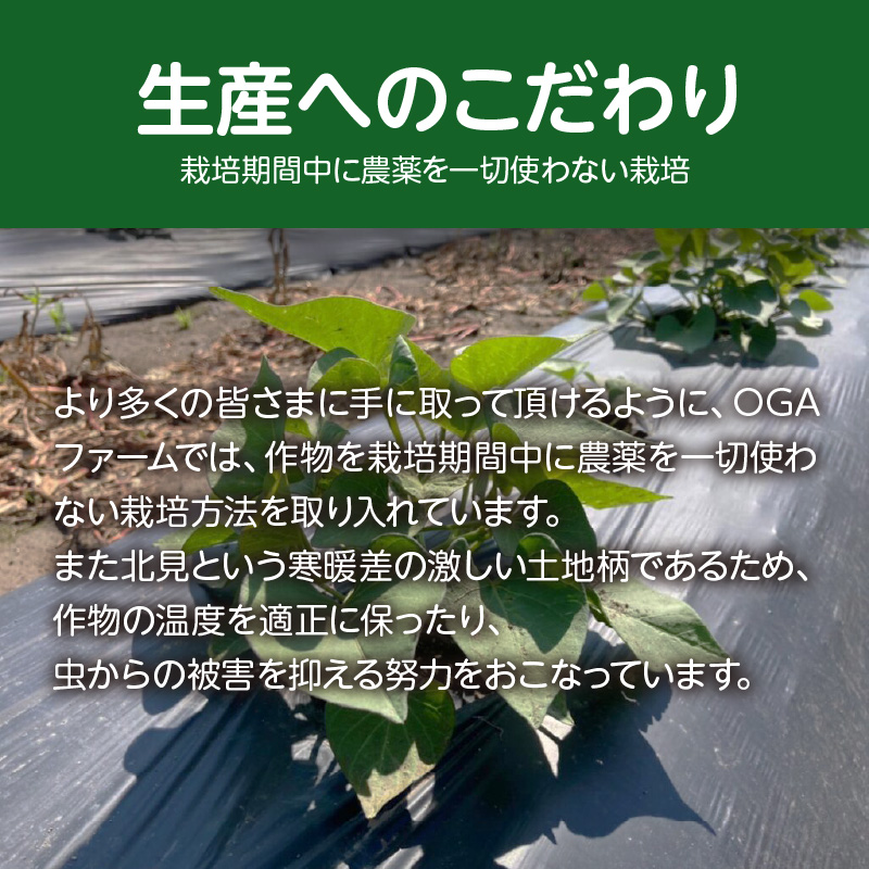 【予約：2026年10月下旬から順次発送】北見産玉ねぎ 20kg ( 機能性玉葱 サイズバラ 玉ねぎ たまねぎ タマネギ 玉葱 オニオン 野菜 北海道 長期貯蔵 )【133-0002-2026】
