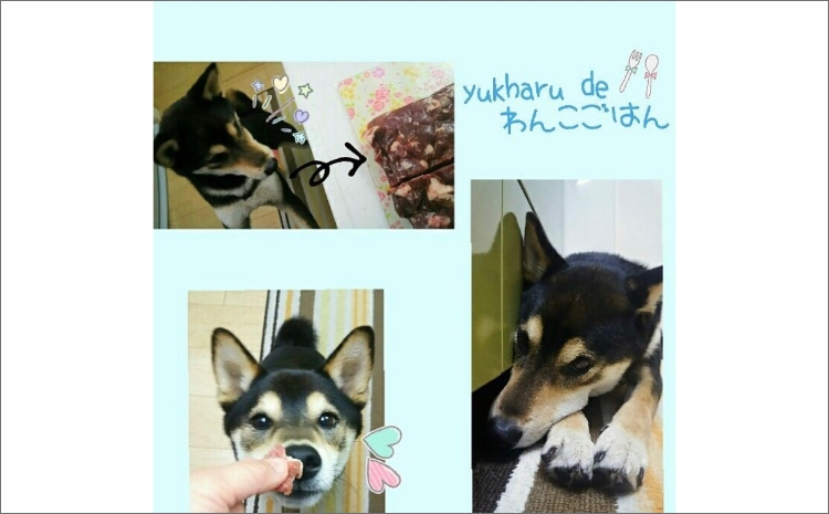 ãšãŸã·ã«ã¢ãã©éªš 200gÃ5ãã㯠( ç¬ ãã é€ ç¬ã®é€ ãããããŒã 鹿 ãšãŸã·ã«è 鹿è å¥åº· ãã〠骚 )ã025-0013ã