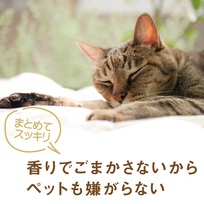 《14営業日以内に発送》きえ～るD ギフトボックス小 ペット用 D-KGP-25 ( 消臭 消臭剤 消臭液 スプレー ゼリー バイオ バイオ消臭 )【084-0051】