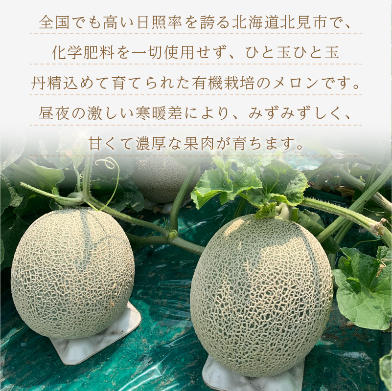 【予約：2025年7月から順次発送】有機栽培『赤肉 街道メロン』1.4kg以上×2玉 ( 果物 くだもの フルーツ メロン めろん 2玉 街道メロン 果肉 デザート 赤肉 )【034-0002-2025】