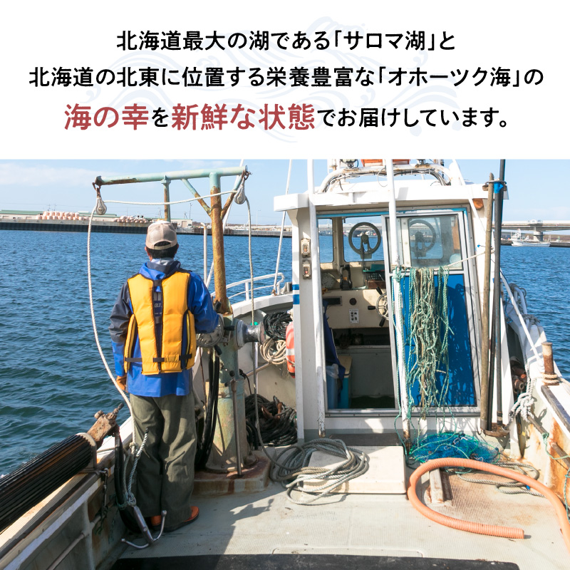 【予約：2026年10月中旬から順次発送】サロマ湖自慢の殻付きカキ貝 大 3kg詰め ( 牡蠣 かき 濃厚 大きい 魚介類 貝類 殻付 殻付き牡蠣 BBQ バーベキュー )【114-0072-2026】