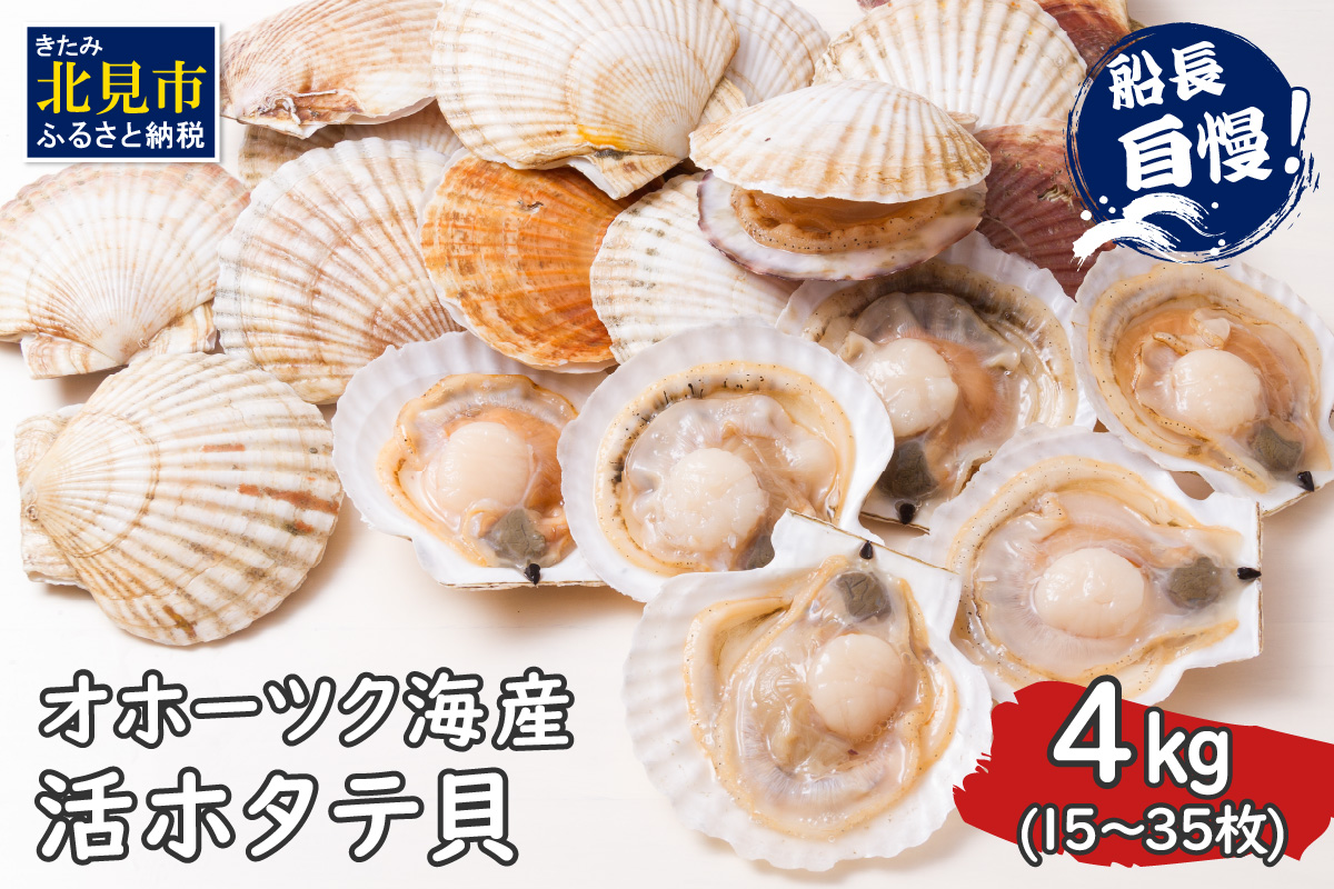 【予約：2026年4月から順次発送】とれたて新鮮！オホーツク海産 活ホタテ貝 4kg 15～35枚 ( 魚介 海鮮 貝 帆立 ほたて ホタテ 4キロ カレー シチュー 肉厚 )【114-0048-2026】