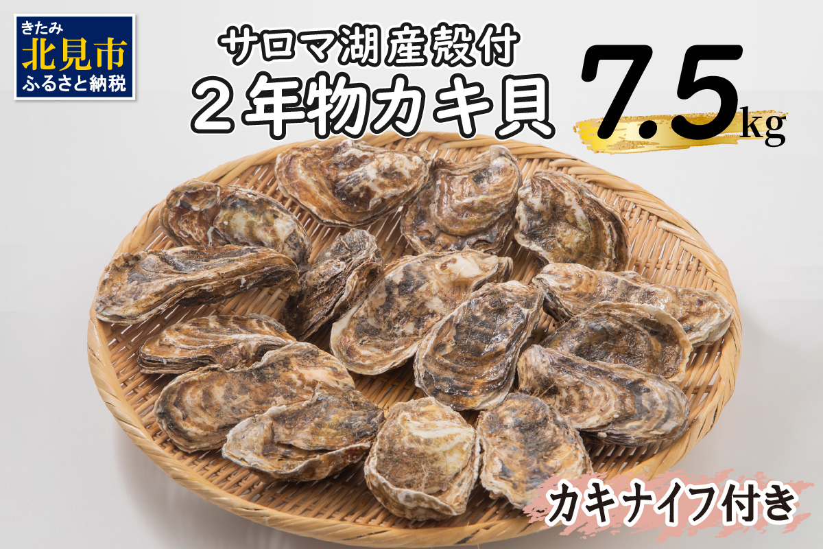 【予約：2025年10月より順次発送】【カキナイフ付】海のミルクサロマ湖産殻付2年物カキ貝 7.5kg 60～75個入 ( 魚介類 海鮮 魚介 牡蠣 かき カキ )【031-0019】