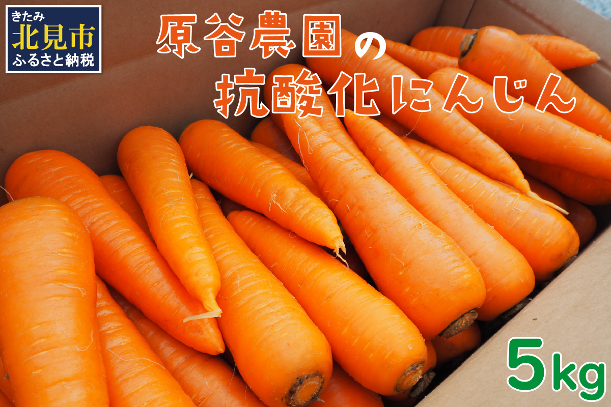 【予約：2026年8月下旬から順次発送】原谷農園の抗酸化にんじん 5kg ( 野菜 人参 農園 期間限定 ふるさと納税 )【058-0007-2026】