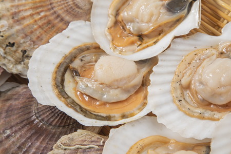 ãäºçŽïŒ2026幎3æäžæ¬ããé æ¬¡çºéããªããŒãã¯è²ä»ãã»ã㊠3kg 15æïœ25æ ( æµ·é®® éä» éä»é¡ è² è²é¡ ãã¿ã ã»ã㊠åžç« æ®»ä»ã è²æ± èŽç ã®ãã èŽãç© ãäžå
ãç¥ã BBQ ããŒããã¥ãŒ )ã031-0012-2026ã