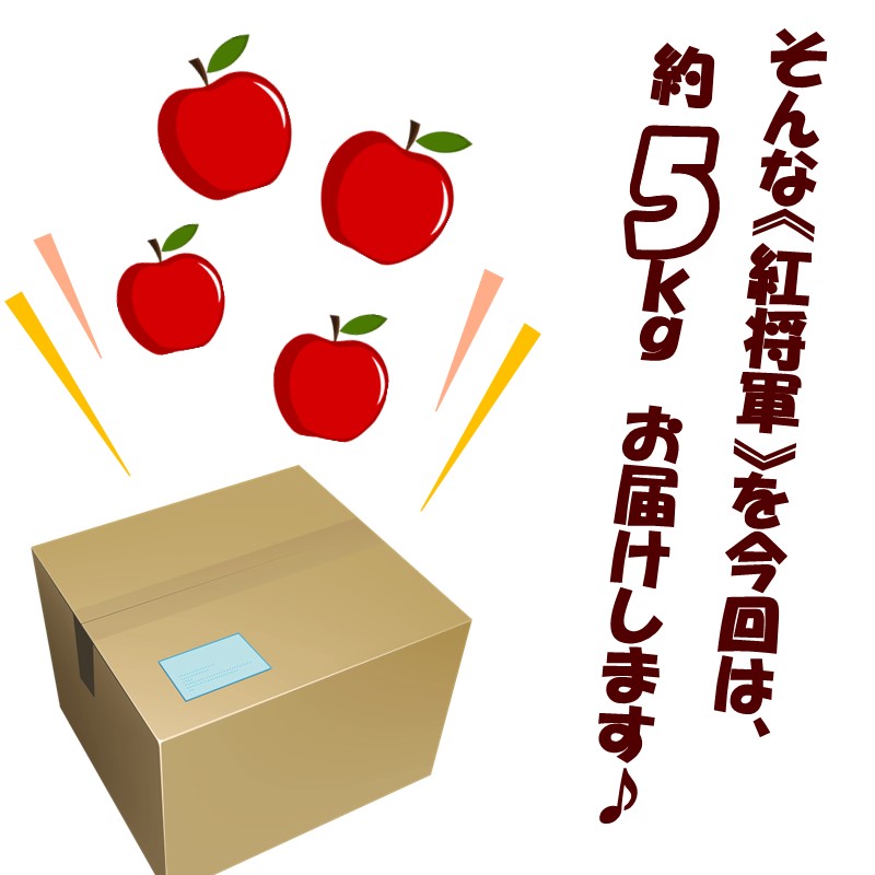 【予約：2026年10月下旬から順次発送】北海道北見市産 りんご 紅将軍 約5kg ( 果物 果実 蜜 旬 季節限定 数量限定 果肉 )【044-0007-2026】