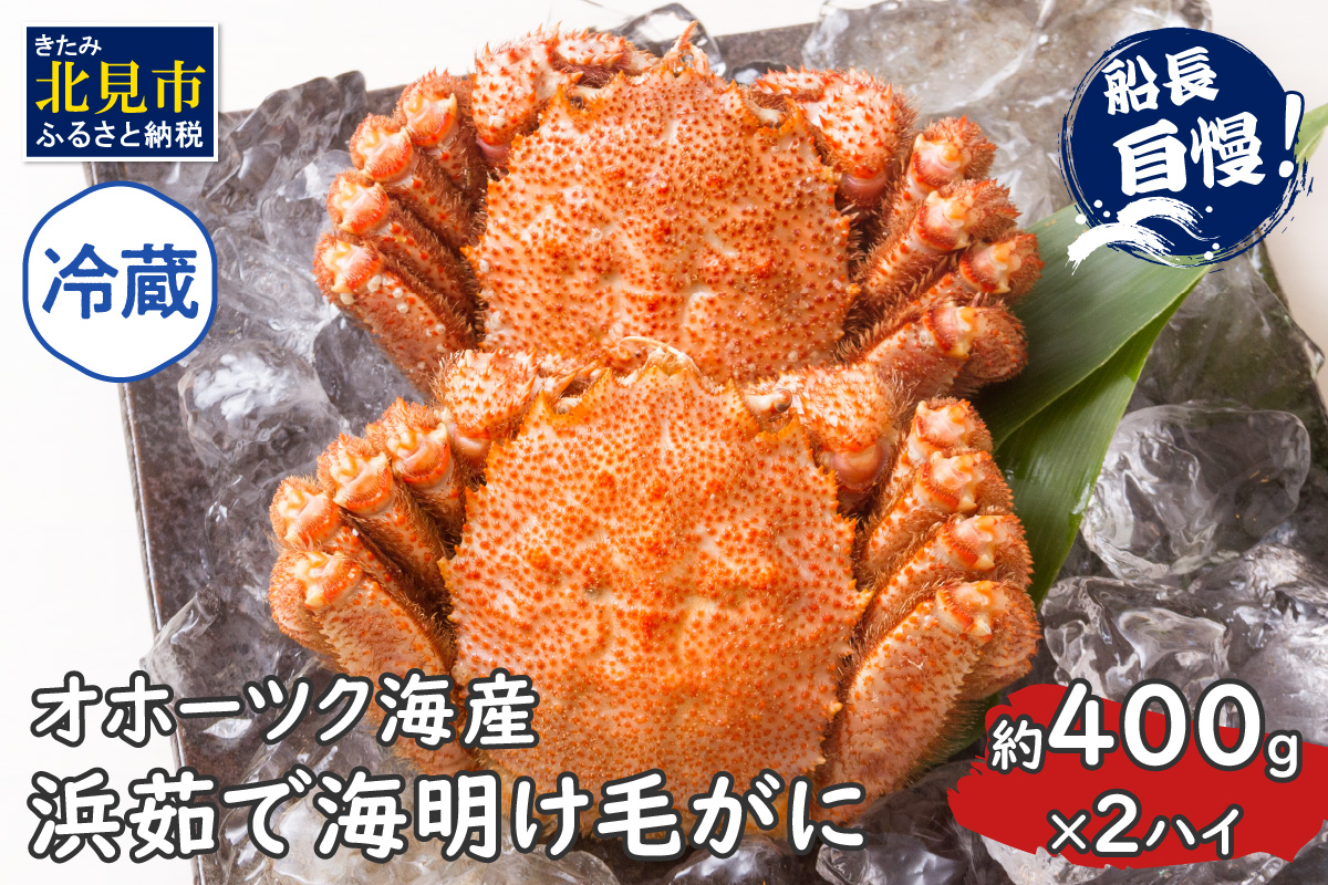 【予約：2026年3月下旬から順次発送】【旬の浜ゆで毛ガニを冷蔵便で】オホーツク海産 浜茹で海明け毛がに 約400g×2ハイ 冷蔵 ( かに 蟹 魚介類 海鮮 )【114-0029-2026】