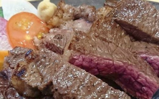 北見エゾシカ熟成肉 ドライエイジング玄人ステーキセット 約890g ( エゾシカ肉 しか 熟成肉 お肉 肉 鹿肉 ジビエ 熟成ジビエ ステーキ BBQ 焼き肉 焼肉 カット肉 )【025-0022】