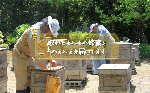 《14営業日以内に発送》採れたまんまの白花豆蜂蜜 190g×3本セット ( 蜂蜜 はちみつ ハチミツ 蜜 甘い 白花豆 蜂 純粋蜂蜜 贅沢 国産 酸味 おいしい おやつ 天然 自然 )【022-0011】