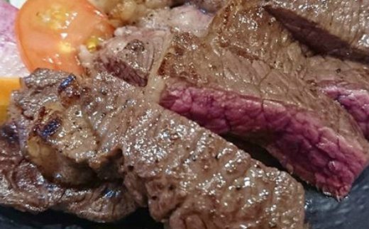 北見エゾシカ熟成 ドライエイジング ランプ・しんたまステーキセット 約690g ( エゾシカ肉 しか 熟成肉 お肉 肉 鹿肉 ジビエ 熟成ジビエ ステーキ BBQ 焼き肉 焼肉 )【025-0048】