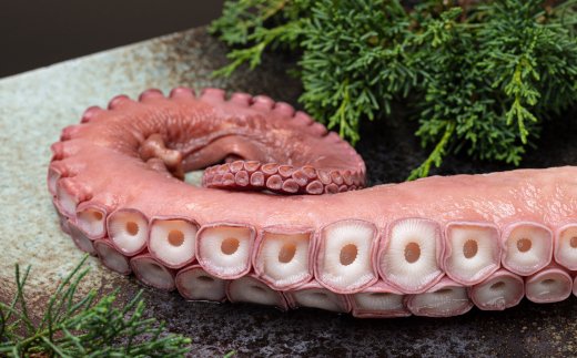 åæµ·éåèŠåžåžžåç£ ãã€ã«æ°Žã¿ã³è¶³ çŽ1kgååŸ ( æµ·é®® ãã æ°Žã¿ã³ )ã091-0010ã