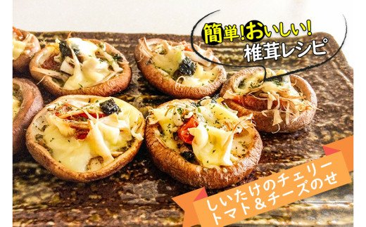 【3ヶ月定期便】北海道産 菌床栽培 乾燥椎茸スライス100g ( 野菜 きのこ キノコ 椎茸 しいたけ シイタケ 乾物 定期便 北見市 ふるさと納税 出汁 煮物 )【999-0168】