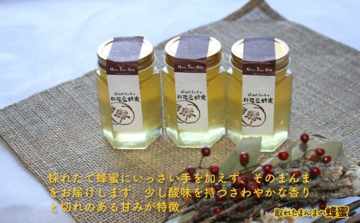 《14営業日以内に発送》採れたまんまの白花豆蜂蜜 190g×3本セット ( 蜂蜜 はちみつ ハチミツ 蜜 甘い 白花豆 蜂 純粋蜂蜜 贅沢 国産 酸味 おいしい おやつ 天然 自然 )【022-0011】