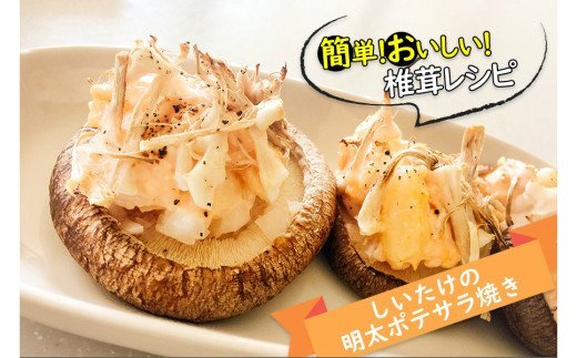 【3ヶ月定期便】北海道産 菌床栽培 乾燥椎茸スライス100g ( 野菜 きのこ キノコ 椎茸 しいたけ シイタケ 乾物 定期便 北見市 ふるさと納税 出汁 煮物 )【999-0168】