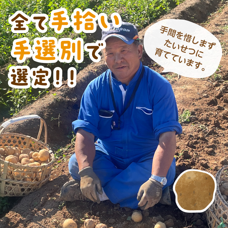 ãäºçŽïŒ2026幎2æäžæ¬ããé æ¬¡çºéããéžã¹ã3ãµã€ãºãå®éããã®ææŸããæéžå¥ã®è¶å¬ãžã£ã¬ã€ã¢ 5kg ( è éè éžã¹ã )ã167-0003-2026ã